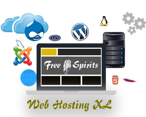 Web Hosting XL